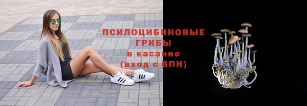 стафф Алексеевка