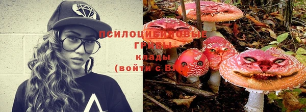 jwh Алексин