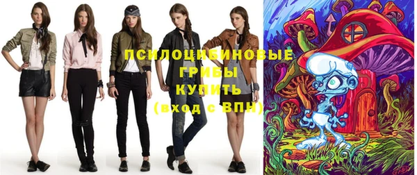 стафф Алексеевка