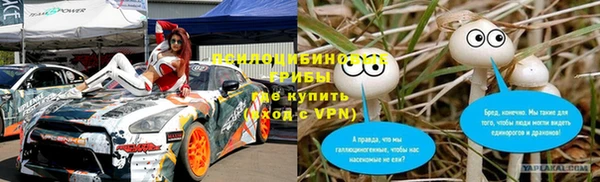 МДПВ Алзамай
