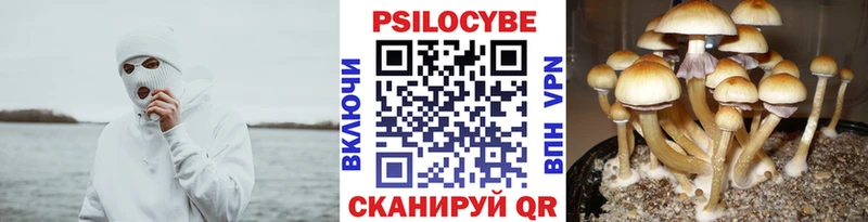 купить наркоту площадка Telegram Псилоцибиновые грибы ЛСД Суровикино